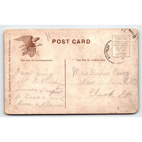 Red Pied Carrier Pigeon Birds Postcard Rustic View Artist Signed Muller 317 - Picture 2 of 2